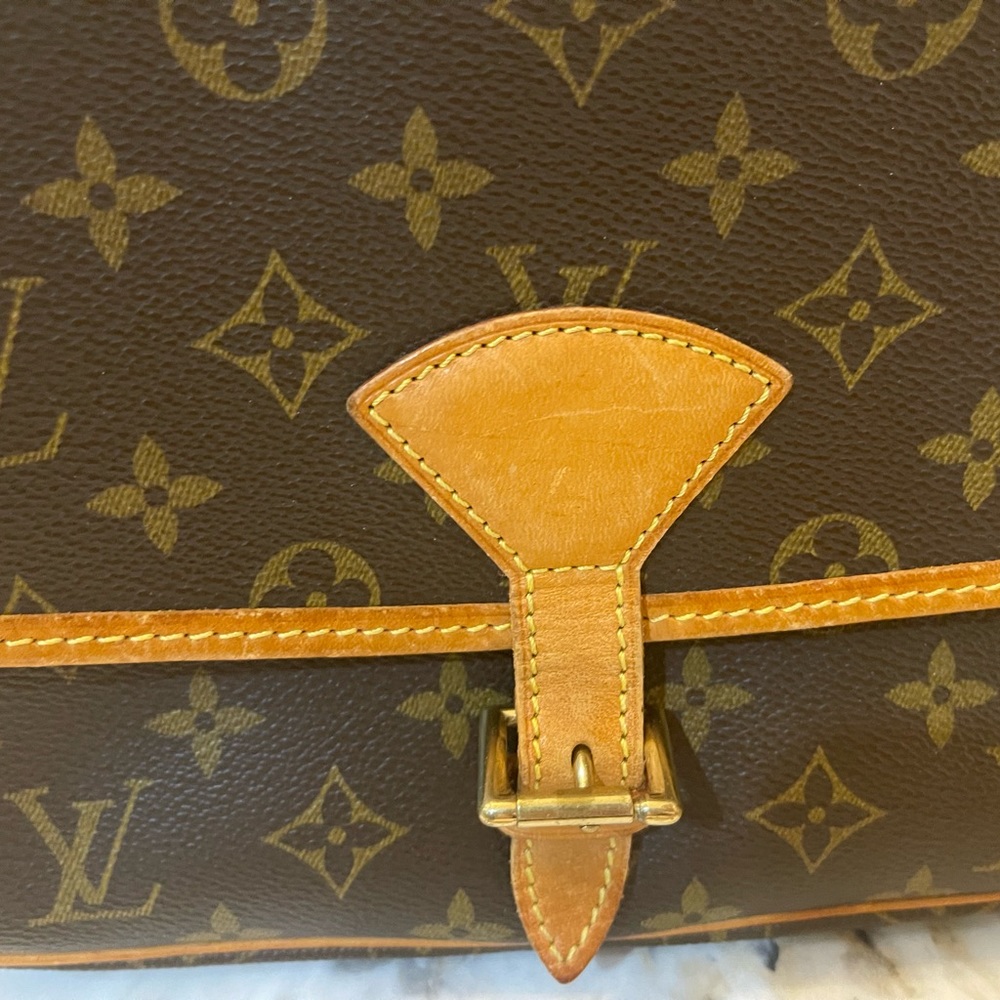 Louis Vuitton Sologne Bag - Picture 6 of 16
